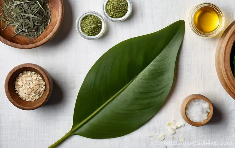 천연 스킨케어로 염증 완화하기 - **Prompt 1: Soothing Aloe Vera Application**
A close-up shot focusing on the delicate hand of a ... 천연 스킨케어로 염증 완화하기 - **Prompt 1: Soothing Aloe Vera Application**
A close-up shot focusing on the delicate hand of a ...