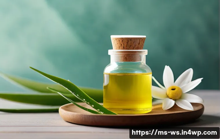천연 스킨케어 제품의 성분 확인법 - A close-up, high-resolution image of a diverse set of natural skincare ingredients commonly found in...
